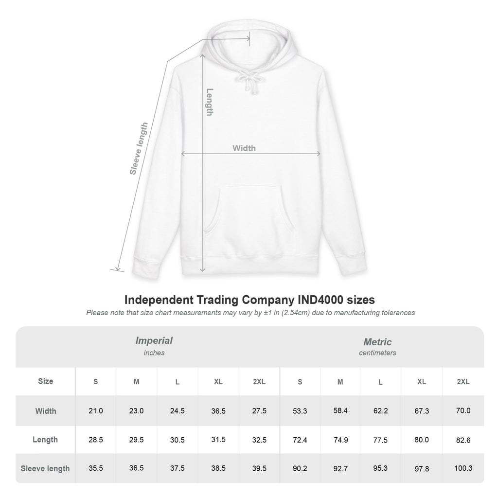 School Story, Bro! Hoodie — Funny Student Earth Graphic Sweatshirt