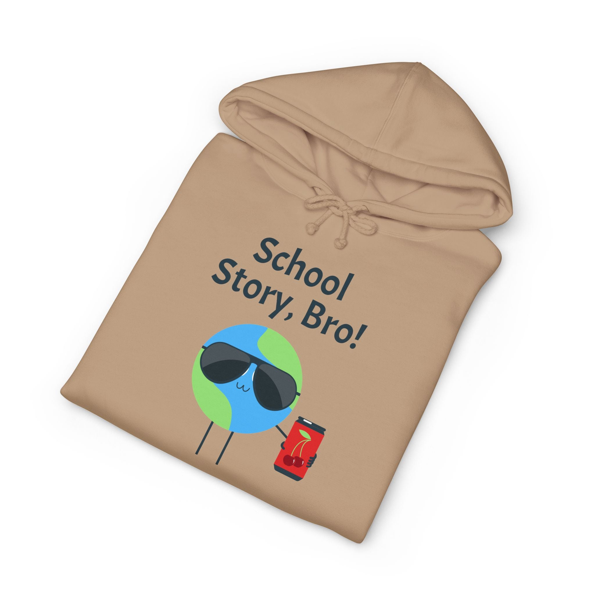 School Story, Bro! Hoodie — Funny Student Earth Graphic Sweatshirt